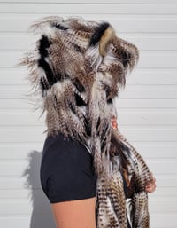 Image 2 of Black & Gold Feather Bolli Bear