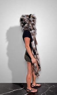 Image 4 of Black & Gold Feather Bolli Bear