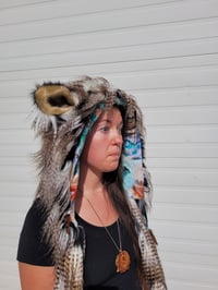 Image 8 of Black & Gold Feather Bolli Bear