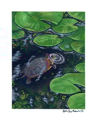 Painted Turtle Print