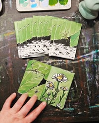 Image 1 of Praying Mantis Zine