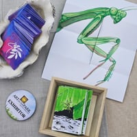 Image 2 of Praying Mantis Zine
