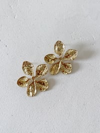 Image 2 of BO FLO