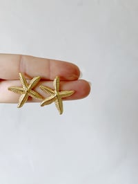 Image 1 of BO STAR