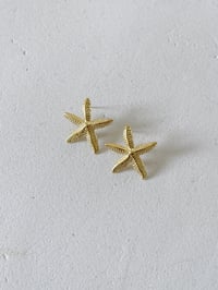 Image 2 of BO STAR