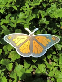 Image 1 of Monarch
