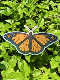Image 2 of Monarch