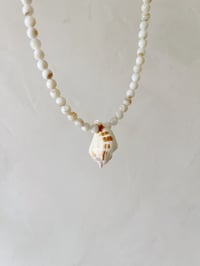 Image 1 of Collier SHELL