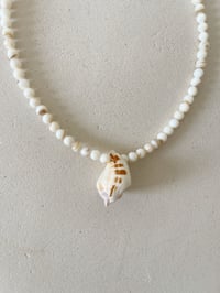 Image 4 of Collier SHELL
