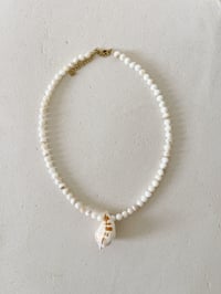 Image 2 of Collier SHELL