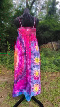 Image 4 of Pink Plumeria