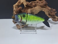 Image 1 of JC Glides V-Notch colorway #50