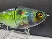 Image 2 of JC Glides V-Notch colorway #50