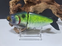 Image 6 of JC Glides V-Notch colorway #50