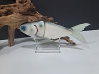 Image 1 of JC Glides V-Notch colorway #65