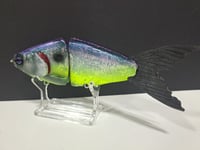 Image 2 of JC Glide Baits V-Notch colorway #36