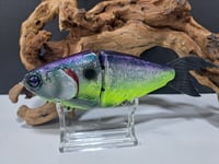 Image 6 of JC Glide Baits V-Notch colorway #36