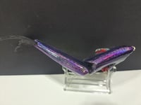 Image 5 of JC Glide Baits V-Notch colorway #36