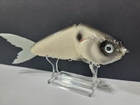Image 3 of JC Glide Baits V-Notch colorway #16