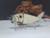 Image 1 of JC Glide Baits V-Notch colorway #16