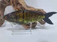 Image 6 of JC Glide Baits V-Notch colorway #81