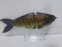 Image 5 of JC Glide Baits V-Notch colorway #81