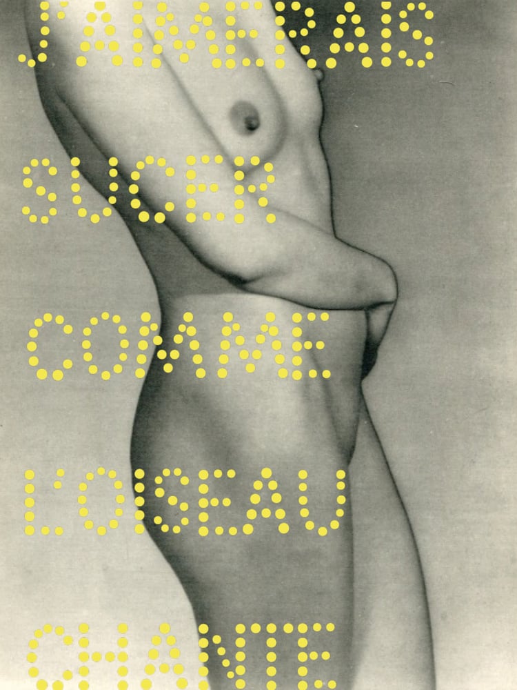 Image of L'OISEAU_JUIN