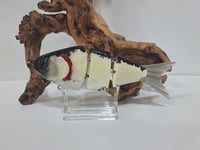 Image 1 of JC Glides V-Notch Swimbait #23