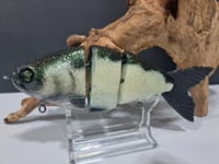 Image 3 of JC Glides Swimbait # 20