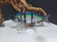 Image 2 of JC Glides Swimbait #21