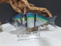 Image 1 of JC Glides Swimbait #21