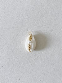 Charms cauris 4 