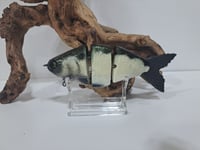 Image 1 of JC Glides Swimbait # 20