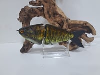 Image 1 of JC Glide Baits V-Notch colorway #81