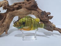 Image 1 of ABS Gill Baits