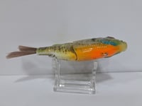 Image 5 of ABS Gill Bait Orange Belly