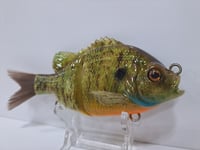 Image 2 of ABS Gill Bait Orange Belly