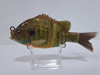 Image 3 of ABS Gill Bait Orange Belly