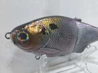 Image 3 of Fish 30 Acre Chop Glide
