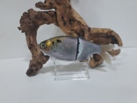 Image 1 of Fish 30 Acre Chop Glide