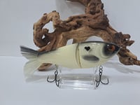 Image 1 of Big Belly Shad bone