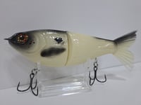 Image 5 of Big Belly Shad bone