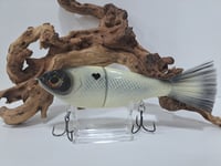 Image 1 of Big Belly Shad Dirty Bone