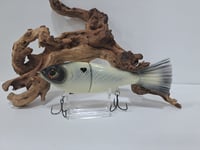 Image 6 of Big Belly Shad Dirty Bone