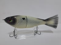 Image 2 of Big Belly Shad Dirty Bone