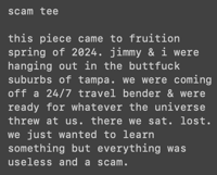 Image 3 of scam tee