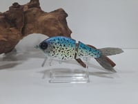 Image 1 of Tom's Custom Baits Wake