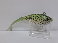 Image 5 of Fat Tony Flash Shad