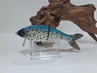 Image 5 of Tom's Custom Baits 6" Wake