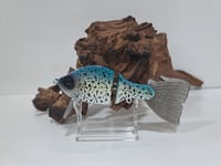 Image 1 of Tom's Custom Baits 5" Wake